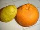Citron & Orange environ 300 / 500 g.